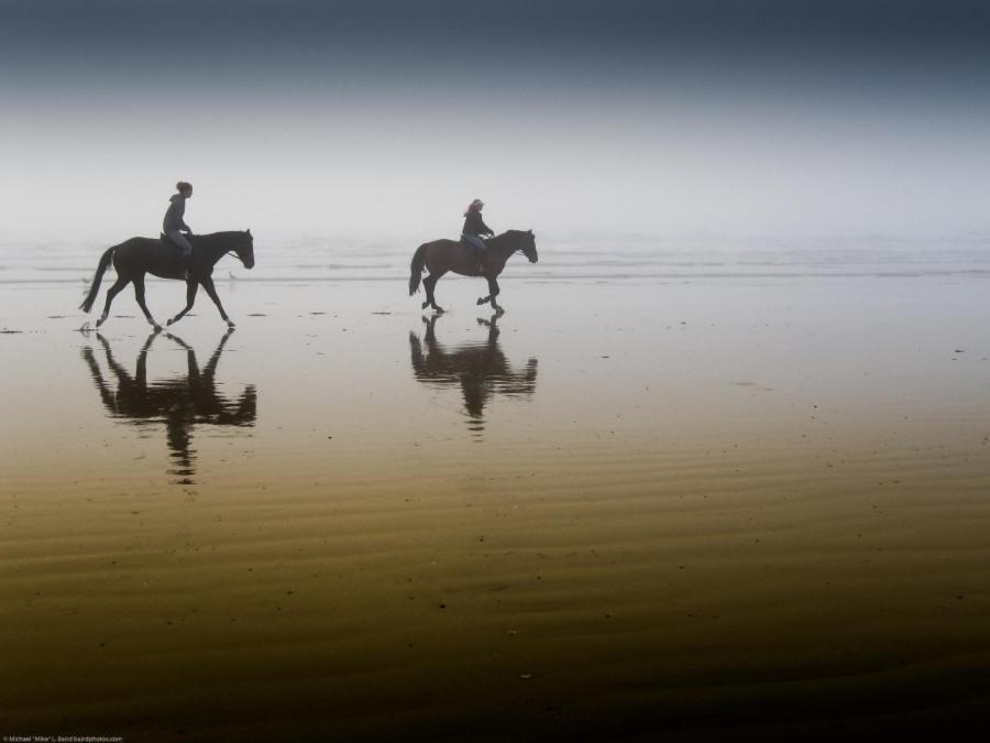 Hotel Victoria Bergen aan Zee Dış mekan fotoğraf